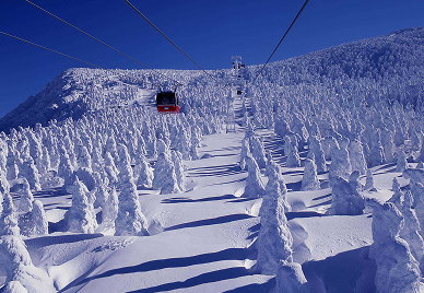 山形蔵王温泉スキー場　エキ10 リフト券3日分 蔵王温泉スキー場】山形市民Welcome 半額キャンペーン | 山形